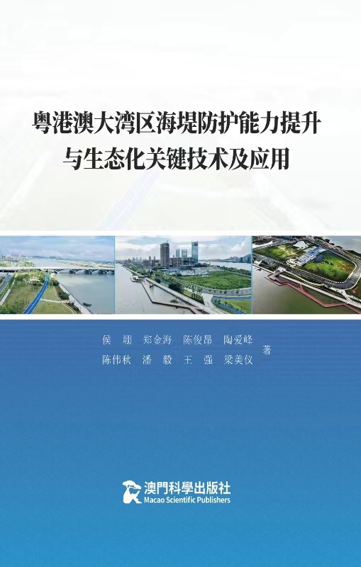 粤港澳大湾区海堤防护能力提升与生态化关键技术及应用